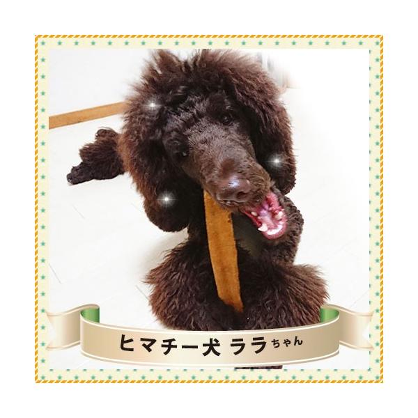Lサイズ 単品 ヒマラヤチーズ スティック みんな大好きヒマチー Buyee Buyee Japanese Proxy Service Buy From Japan Bot Online