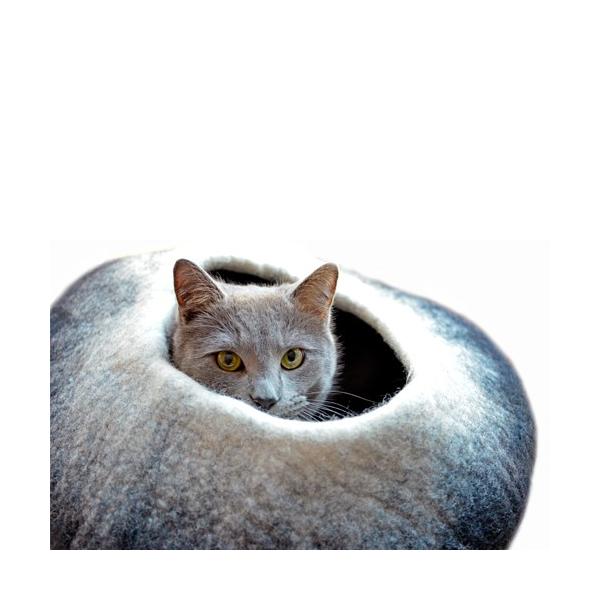 ی^Of[V ȃybgnEX (ubN×zCg)  L ybgp xbh nhCh E[100 tFg ynecocoonz