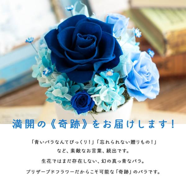 プリザーブドフラワー 誕生日 プレゼント 女性 母 女友達 花 入学祝い 結婚祝い 結婚記念日 お祝い 青いバラ ブリザードフラワー Bloom ケース入り Buyee Buyee Japanese Proxy Service Buy From Japan Bot Online
