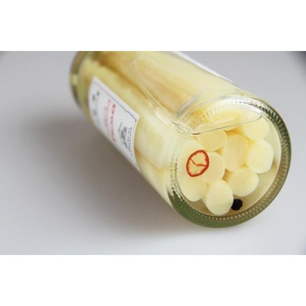 ホワイトアスパラガス ピクルス 瓶詰 0g 1瓶 Buyee Buyee Japanese Proxy Service Buy From Japan Bot Online