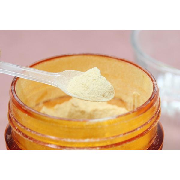 人参 会津人参 オタネニンジン 健康 美容 乾燥品 人参 会津人参 オタネニンジン 健康 美容 乾燥品