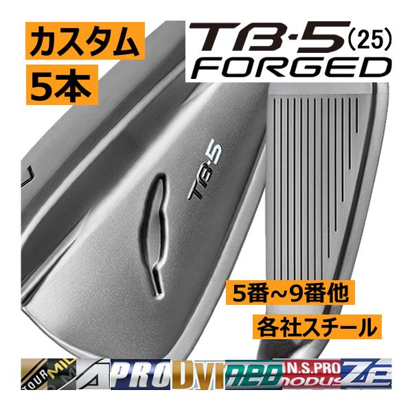 フォーティーン TB-5 アイアン(2025) 6i~P