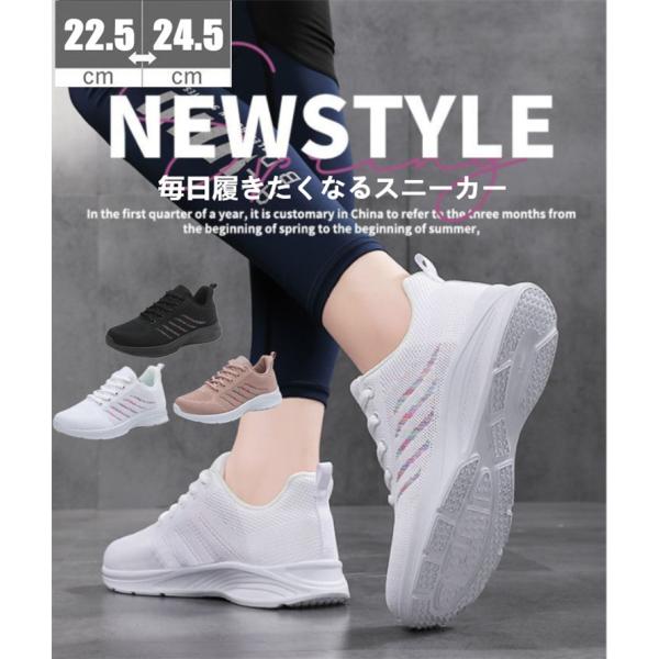 ゴルフシューズ ランニングシューズ ウォーキングシューズ スニーカー 25cm 送料無料 スニーカー 運動靴 ランニングシューズ ゴルフシューズ