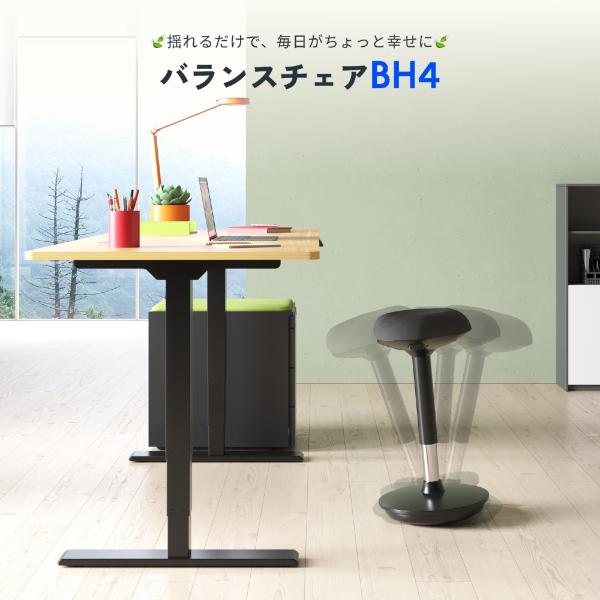�n�C�X�c�[�� ��] FlexiSpot �o�����X�`�F�A �X�^���f�B���O�`�F�A ���~�� �p���T�|�[�g �������� �N�b�V���� BH2 �J�E���^�[�`�F�A �o�[�`�F�A �K�X���� ���� ���i�摜1