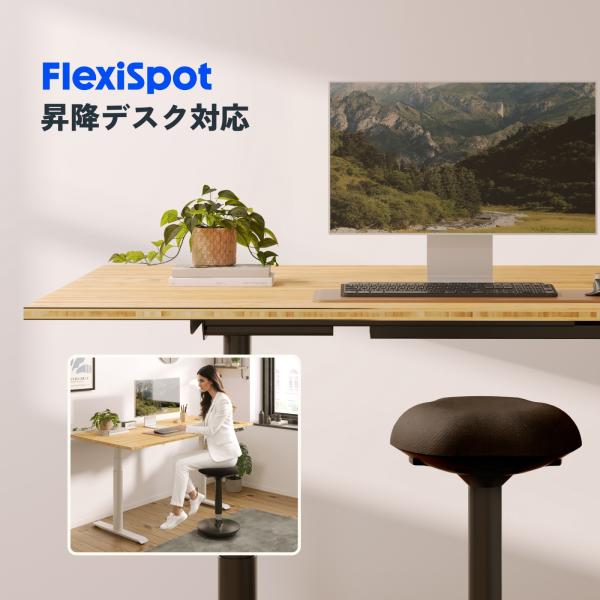 �n�C�X�c�[�� ��] FlexiSpot �o�����X�`�F�A �X�^���f�B���O�`�F�A ���~�� �p���T�|�[�g �������� �N�b�V���� BH2 �J�E���^�[�`�F�A �o�[�`�F�A �K�X���� ���� ���i�摜4