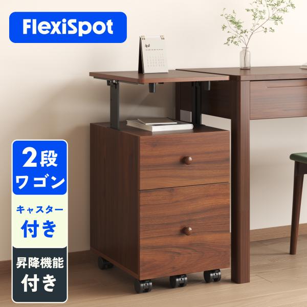 FLEXISPOT オフィスワゴン CB1W オフィスワゴン・CB1 | FlexiSpot 公式ストア