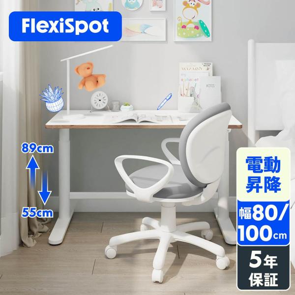 FlexiSpot 電動昇降式デスク SD1フレキシスポット 学習机 loctek_sd1