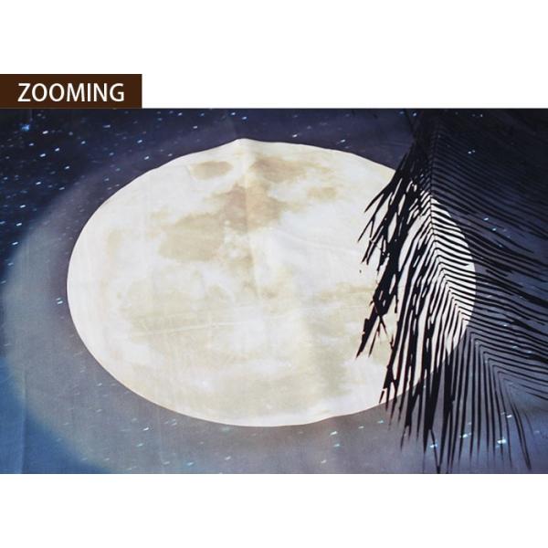 タペストリー おしゃれ 満月 月 ムーン 月灯り 海 のれん 装飾グッズ 壁飾り 目隠し 大自然の景色 風景 Buyee Buyee Japanese Proxy Service Buy From Japan Bot Online