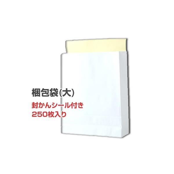 宅配袋 梱包袋 大 250枚 無地 白色 横320 奥行 110 高さ400 梱包用袋