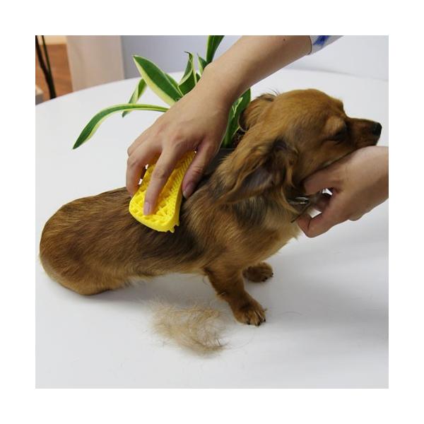 Pet Me 新品 ペットアンドミー ラバーブラシ 犬猫用 ハード長毛用 レッド