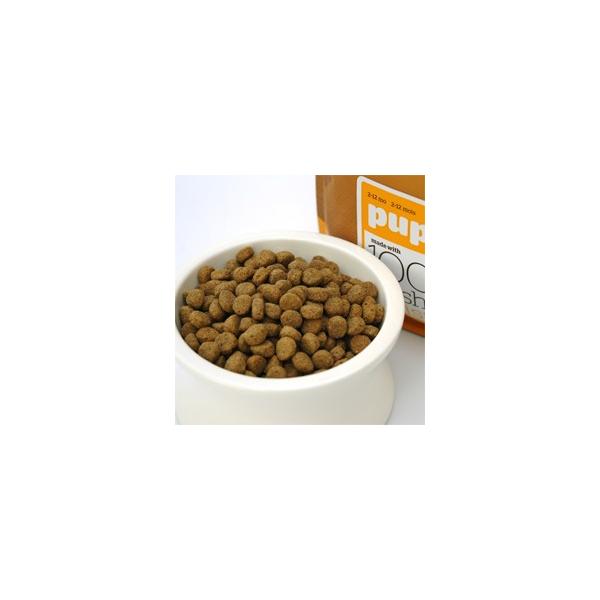 正規輸入品 Now Fresh 全国一律送料無料 ドッグフード 幼犬用 パピー 11 34kg