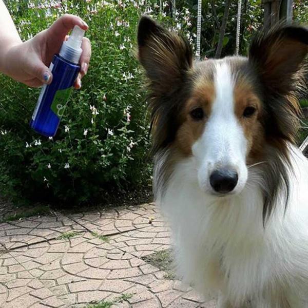 わんのはな ハーブdeマモロ おトク 500cc 犬猫用 オーガニックハーブ虫除け化粧水スプレー 詰替用