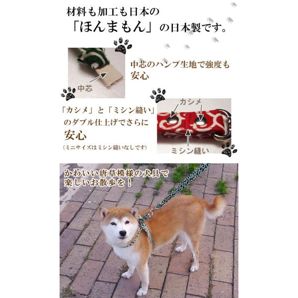 Blanco ブランコ 唐草デザイン オンラインショップ チョーク首輪 犬用 Xsサイズ