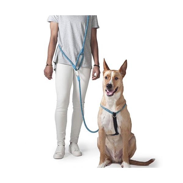 訳あり High5dogs H5d レジャーコレクション クリックショルダーリード 7mm ブルー 犬用