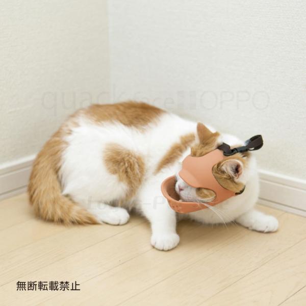 クァックフェイス ライト