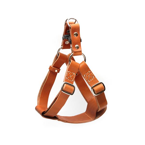 QUCHITAP N`^v ATTRACTIVE LEATHER HARNESS n[lX  p uE XLTCY ybg ybgp