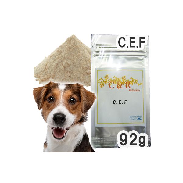C&R C.E.F. 犬用  Lサイズ(92g)（旧・SGJプロダクツ）  メール便