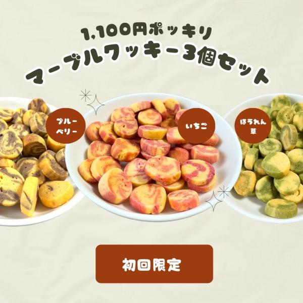 ※同梱不可 初回限定 1,100円ポッキリ 送料無料  国産 マーブルクッキー 犬用 25g×3種セット いちご/ブルーベリー/ほうれん草  ロゴスペット 無添加おやつ