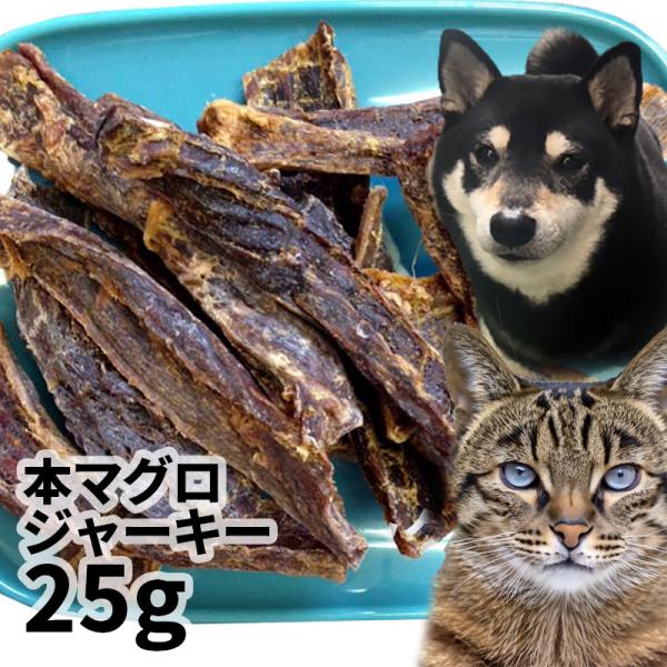 おやつ 無添加 国産（銚子産）本マグロジャーキー 25g メール便 ロゴスペット猫おやつ 犬用 猫用 犬猫用シニア 柔らかい 爆買