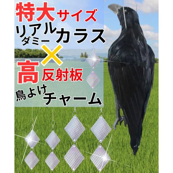 カラスよけ コラボセット リアルダミーカラス 鳥よけチャーム 鳥よけグッズ 本物そっくり 羽毛 高強度反射 撃退 鳩よけ 対策 グッズ 害鳥 ベランダ
