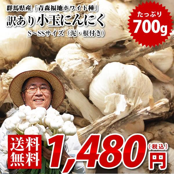 青森県産にんにく10kg 2L ニンニク10キロ 福地ホワイト6片種