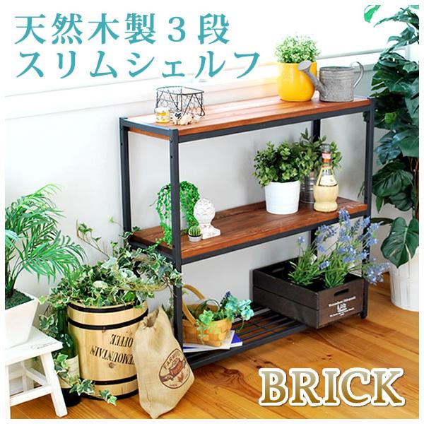 リビングラック(はる) ディスプレイ棚 オープンラック 棚収納 リビング ラック ボックス棚