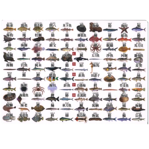 下敷き　お魚漢字100　ザ・アクセス　A4 図鑑 文房具 雑貨 マニアック プレゼント おもしろグッズ ギフト 小学生 面白い ユニーク 自由研究