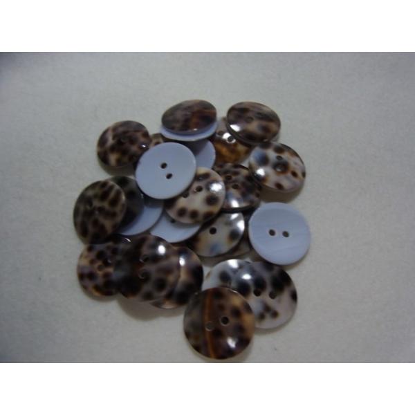 珍しい貝ボタン！タイガーシェルボタン　20mm