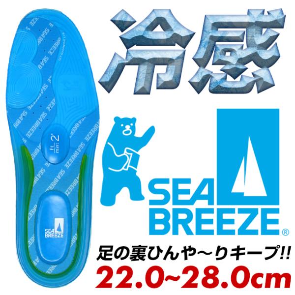 C\[ ~ Y fB[X V[u[Y Ռz X|[c d