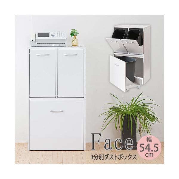 ダストボックス 3分別タイプ 幅54.5cm 薄型 ゴミ箱 分別式ゴミ箱