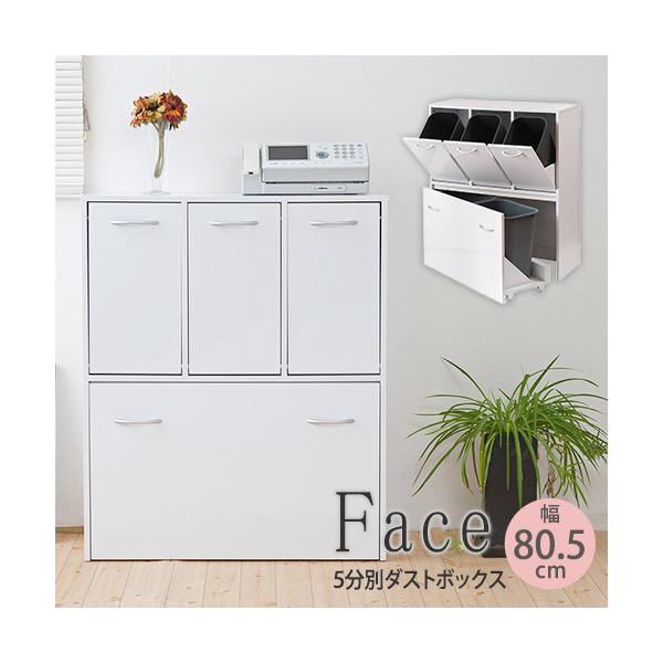 鏡面　5分別　ダストボックス WHYTO キッチンシリーズface ダストボックス 5分別 ゴミ箱