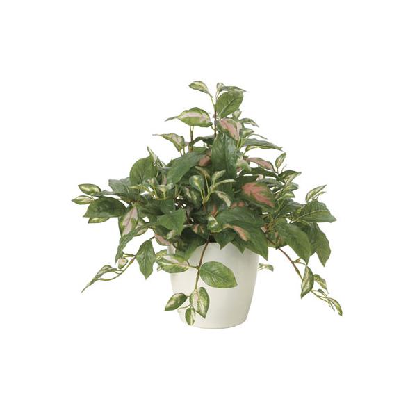 心もからだも優しく癒すフェイクグリーンです。光触媒加工で抗菌・消臭・防汚・ホルムアルデヒド分解力を備えています。おしゃれで快適な環境作りに役立ちます。商品番号KG-2TH組立状態完成品（新品）サイズ外寸：幅400×奥行400×高さ400mm...