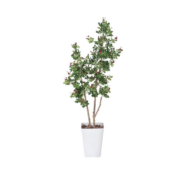 soldout フェイクグリーン ハックルベリー1.25 幅520×奥行350×高さ