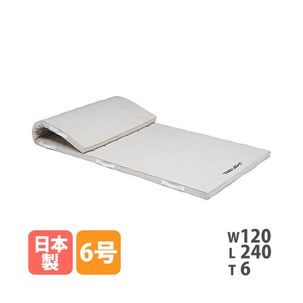 TOEI LIGHT（トーエイライト） 法人限定 体操マット 6号帆布 幅120×長