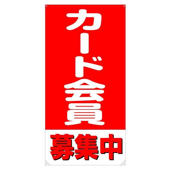 XN[t[y^e^zpʔiЖʁj wJ[hWx TCYFW730mm×H1640mm