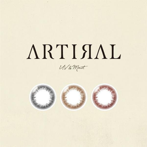 カラコン ワンデー メール便送料無料 アーティラル ARTIRAL 1箱10枚入 代引・同梱・日時指定不可 1day カラコン ワンデー 度なし 人気