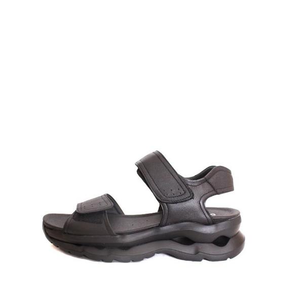 ēׁ@Y@CallagHanJn@43900@ubN U[T_ RtH[gT_ _bhT_ X[XU[