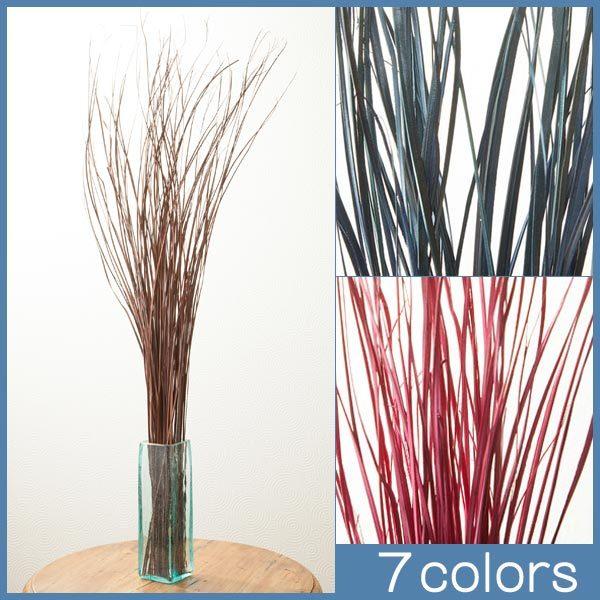 a_ CeA ԕr  CeA hCt[ ԑ AWAG o AWAeCXg G    傫  fB