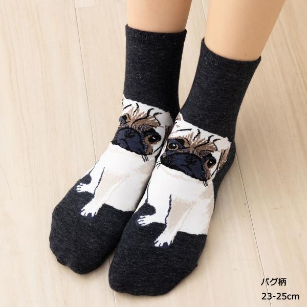 パグ 犬柄 ロークルー丈ソックス 23-25cm ブラック レディース  靴下  動物 as-ans057 D1PK