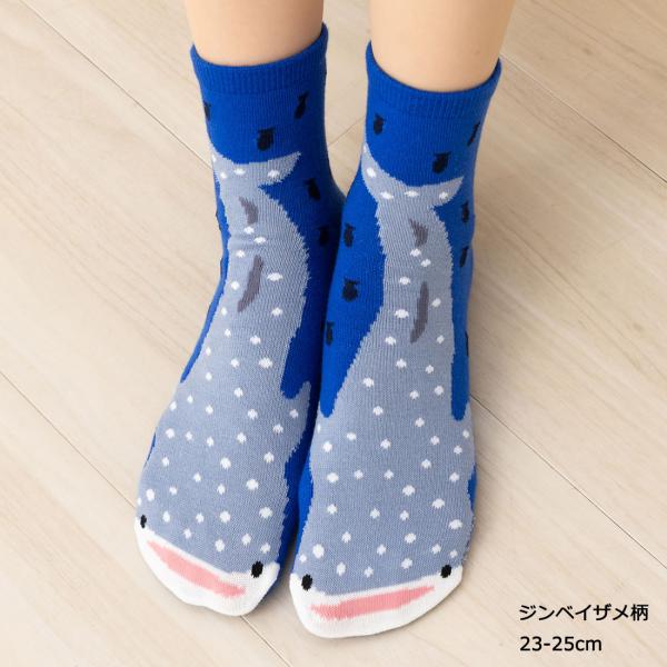 うみのいきもの ジンベイザメ クルーソックス 23-25cm 青 レディース 靴下 as-ans067 D1PK