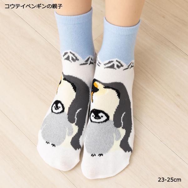 うみのいきもの コウテイペンギンの親子 クルーソックス 23-25cm 水色・白 レディース 靴下 as-ans069 D1PK