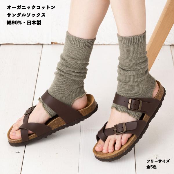 (SMALL STONE) 綿90% オーガニックコットン サンダルソックス フリーサイズ 全5色 レディース 靴下 D1PK