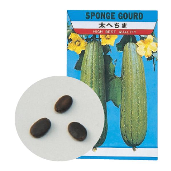 ヘチマの種の価格と最安値 おすすめ通販を激安で 野菜関連