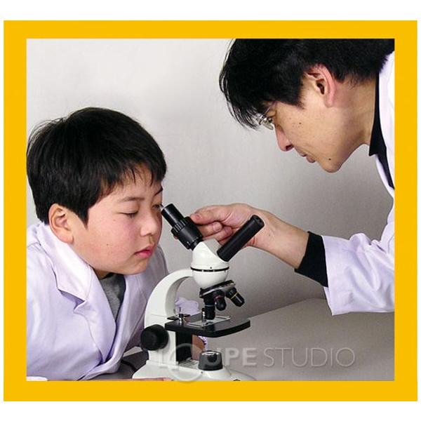 生物顕微鏡 ツインビュー生物顕微鏡tmd400 送料無料 顕微鏡 小学生 中学 理科 高校 自由研究 学校教材 夏休み ついに入荷