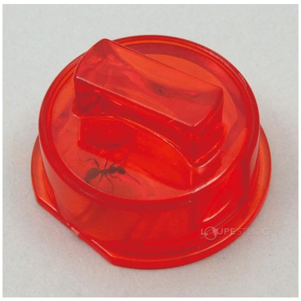 アリのくらし観察セット アリの巣 ありの巣 観察 理科 飼育セット 夏休み 自由研究 小学生 キット 実験 Buyee 日本代购平台 产品购物网站大全 Buyee一站式代购 Bot Online