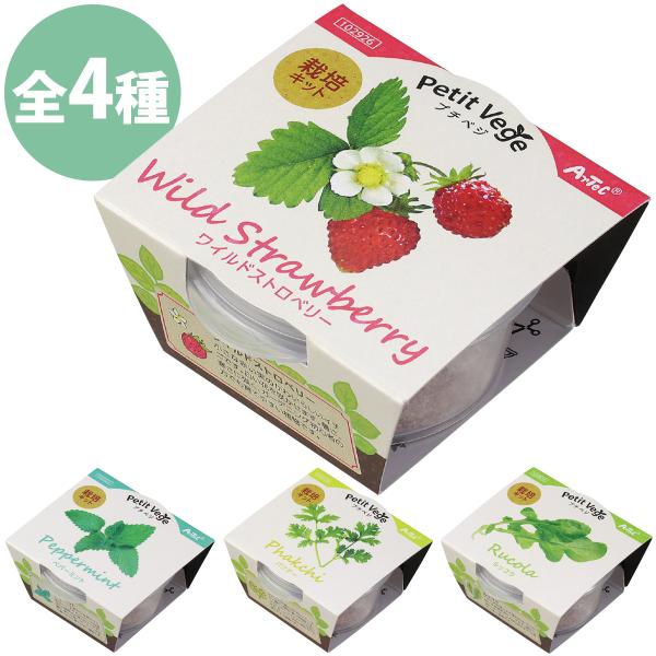 初心者でも簡単に育てられるミニサイズの栽培キット!商品サイズ:65×70×33mm■商品サイズ：65×70×33mm■セット内容：プラ容器、圧縮土、種■重量：18g■材質：土、PP、種(ワイルドストロベリー/ペパーミント/パクチー/ルッコラ...