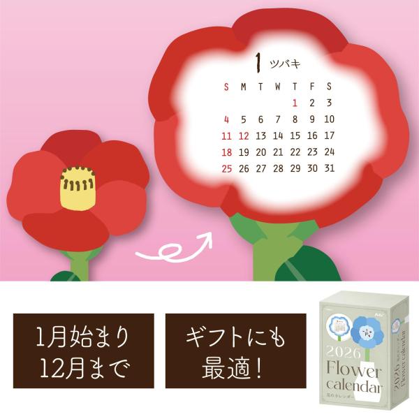 loupe_atc-12670
