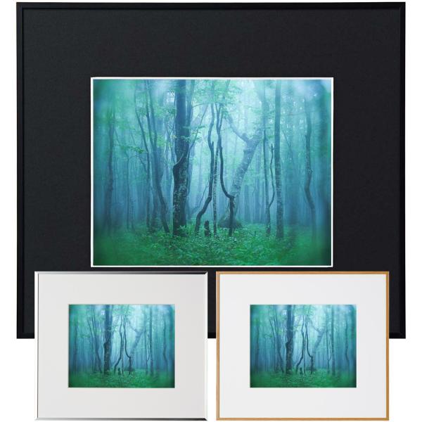 z M[ Z KENKO PR[ tHgt[ A~z ʐ^ Ǌ|  v[g j ʐ^W