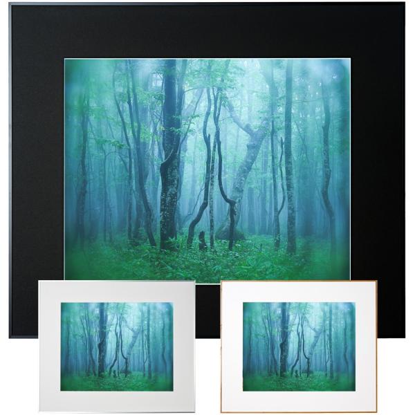 z M[ S KENKO PR[ tHgt[ A~z ʐ^ Ǌ|  v[g j ʐ^W