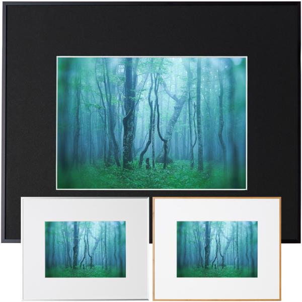 z M[ A4 KENKO PR[ tHgt[ A~z ʐ^ Ǌ|  v[g j ʐ^W